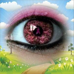 Meet your Posher, Rosemary